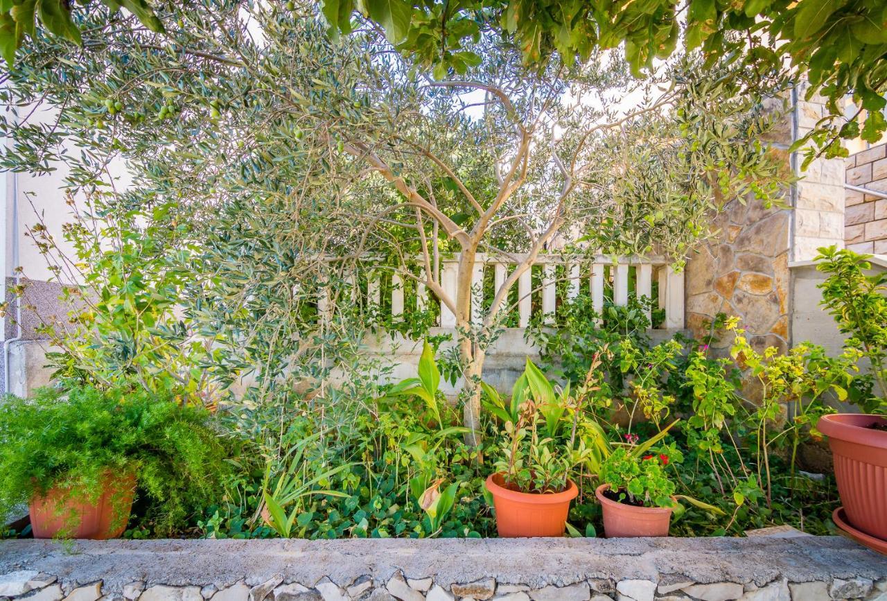 Cheap Apartment Tanja Trogir Eksteriør bilde